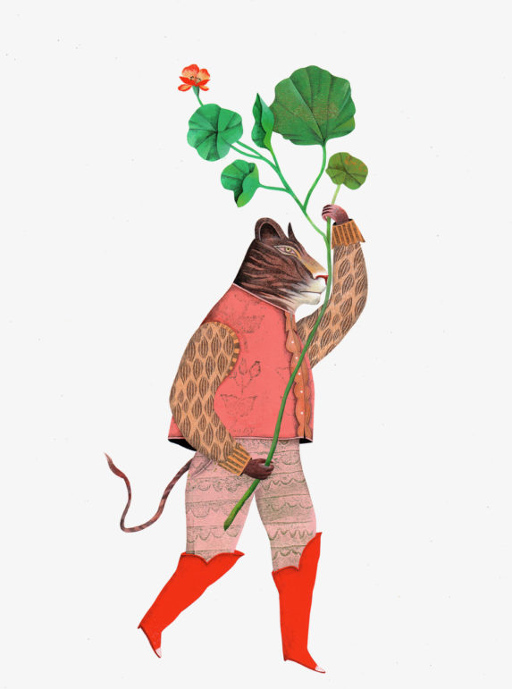 dessin de Vanessa Hié qui représente un tigre costumé avec des bottes rouges qui marche et tient une tige de géranium. illustration