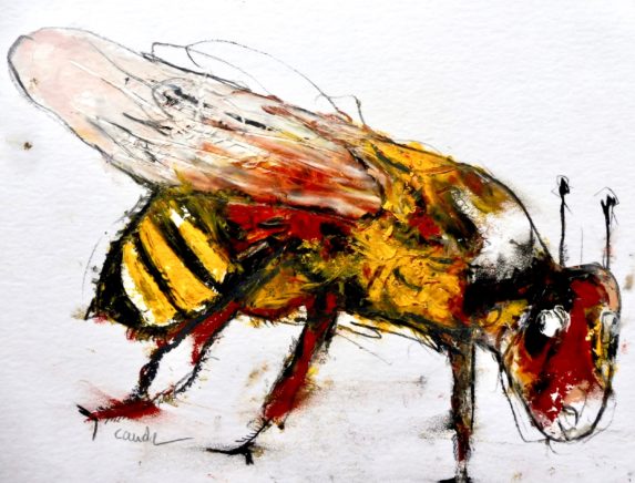 aquarelle qui représente une abeille oeuvre de Jacques Cauda