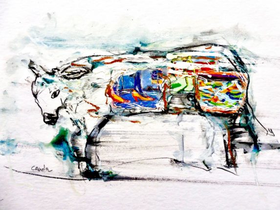 dessin à l'encre et crayon qui représente un bovin oeuvre de Jacques Cauda