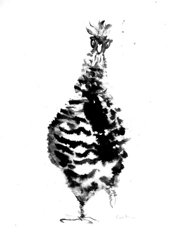 image qui représente un coq peint l'encre noire par Jacques Cauda