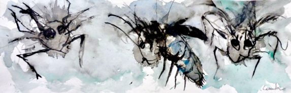 image qui représente des mouches peintes à l'encre et à l'aquarelle par Jacques Cauda