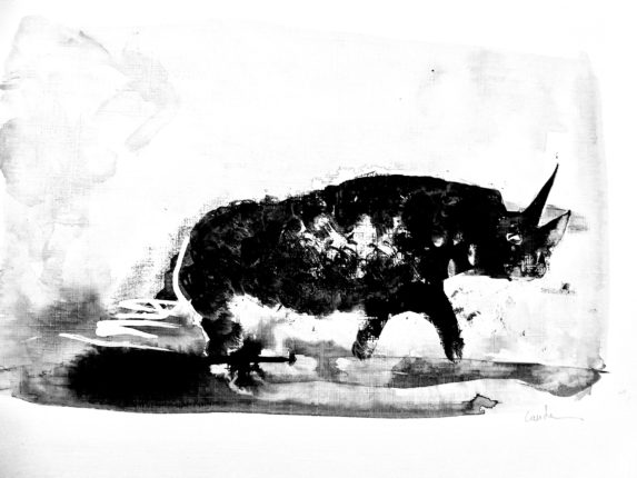 image qui représente la silouette d'un rhinocéros peint à l'encre par Jacques Cauda