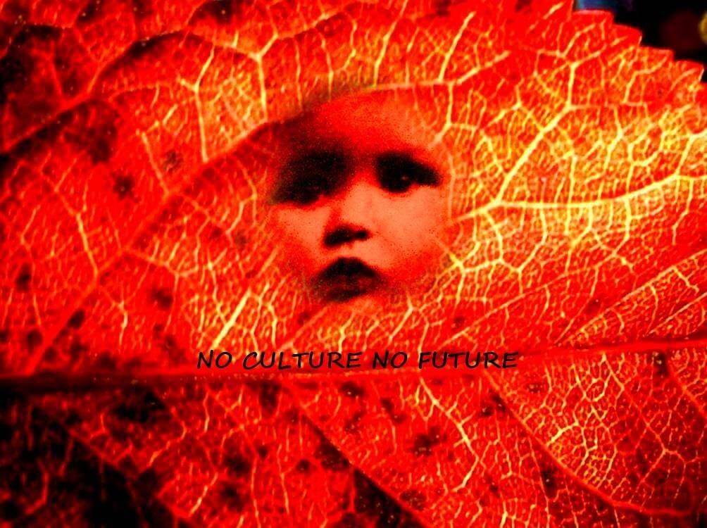 image qui représente un portrait d'enfant intégré à une feuille d'arbre colorée en orange, avec u,n texte qui dit "no culture, no future"