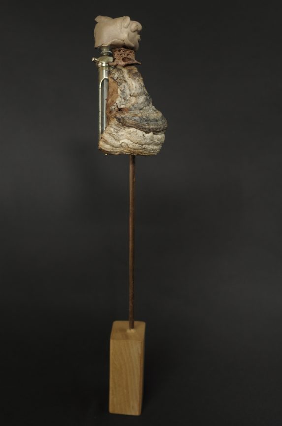 sculpture d'Elise Geoffrion Grès blanc avec un four d'enfumage.  Amadouvier. Bois. Broderie. Laine. 