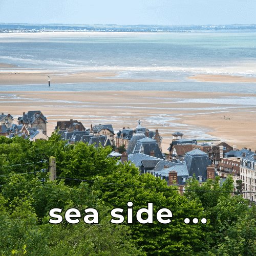 image qui représente un paysage de bord de mer