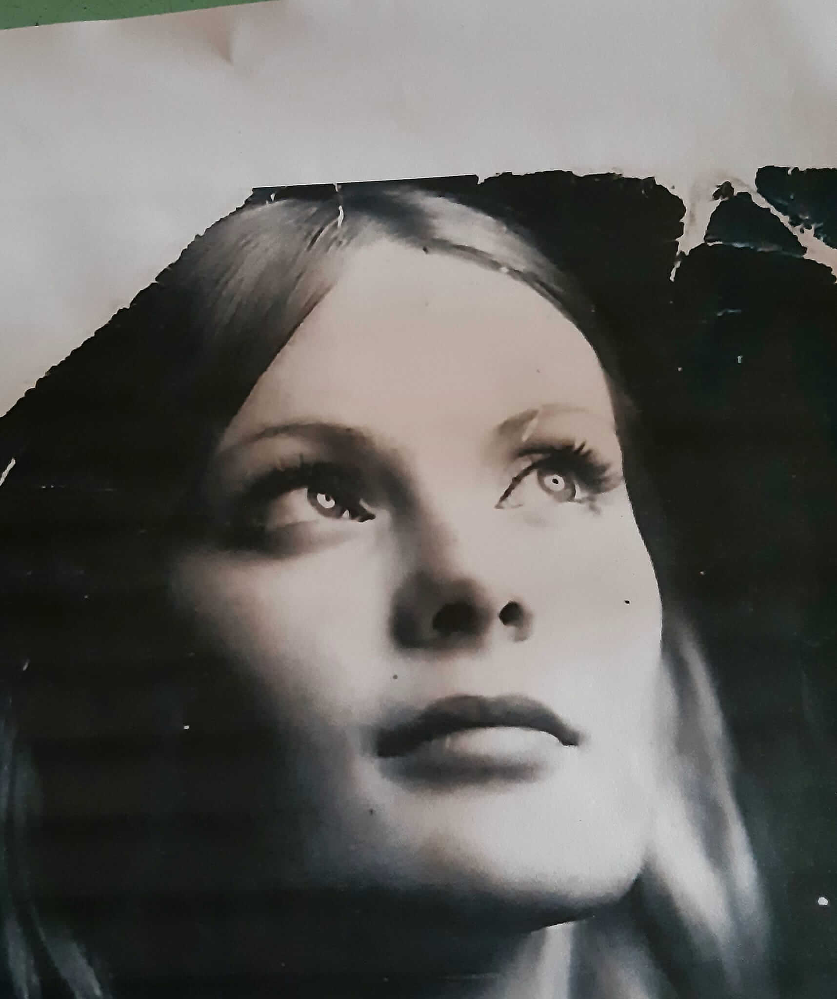 You are currently viewing Johanna Heeg, peintre de la tendresse obstinée